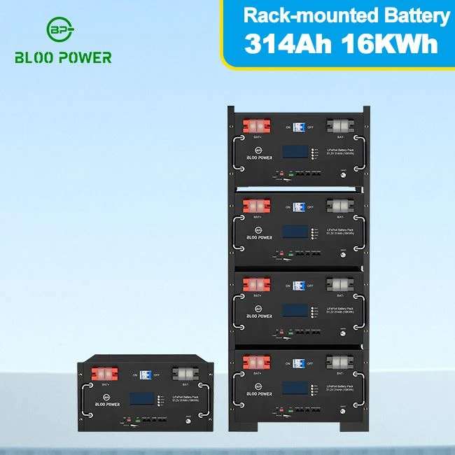 48V 314Ah LiFePO4 Lithium Battery With Smart BMS Server Rack Energy Storage For Off-Grid Solar