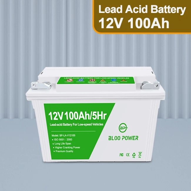lead acid batteries 100Ah