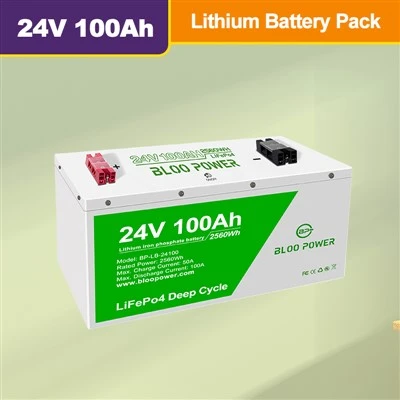 LIFEPO4 BATTERIE LITHIUM 24V 100AH ​​BEM SMART BMS